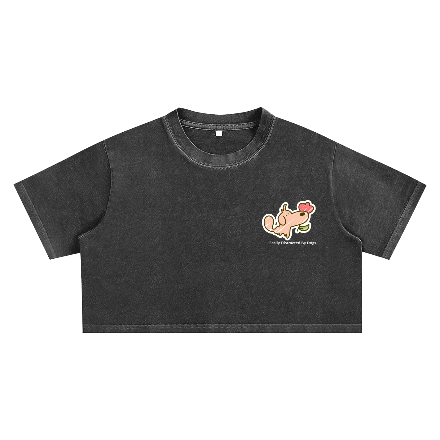 Snow Washed Crop Top